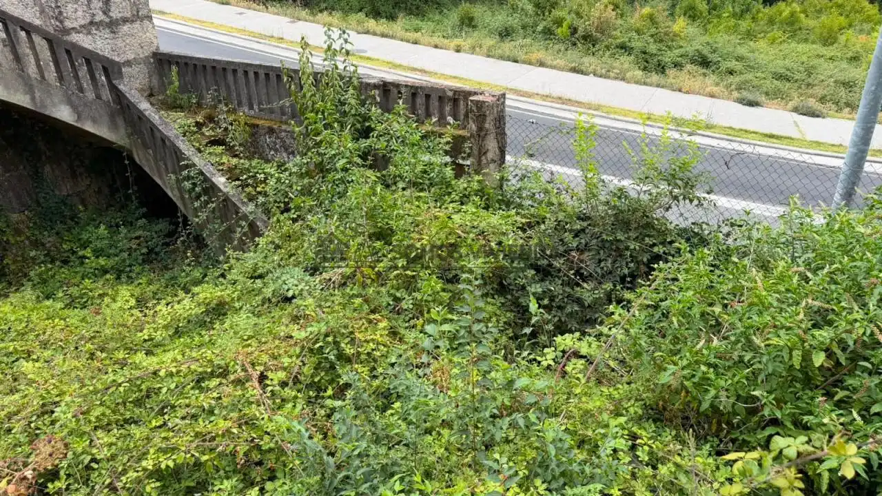 Casa o xalet en venda en Ourense Capital  amb Jardí privat