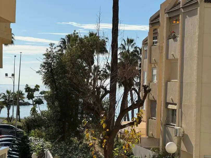 Apartments for rent in Paseo de Sancha, 16, La Malagueta - Monte Sancha