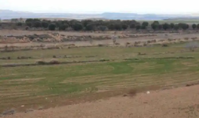 Terreno rustico in vendita a Borja, imagen 2