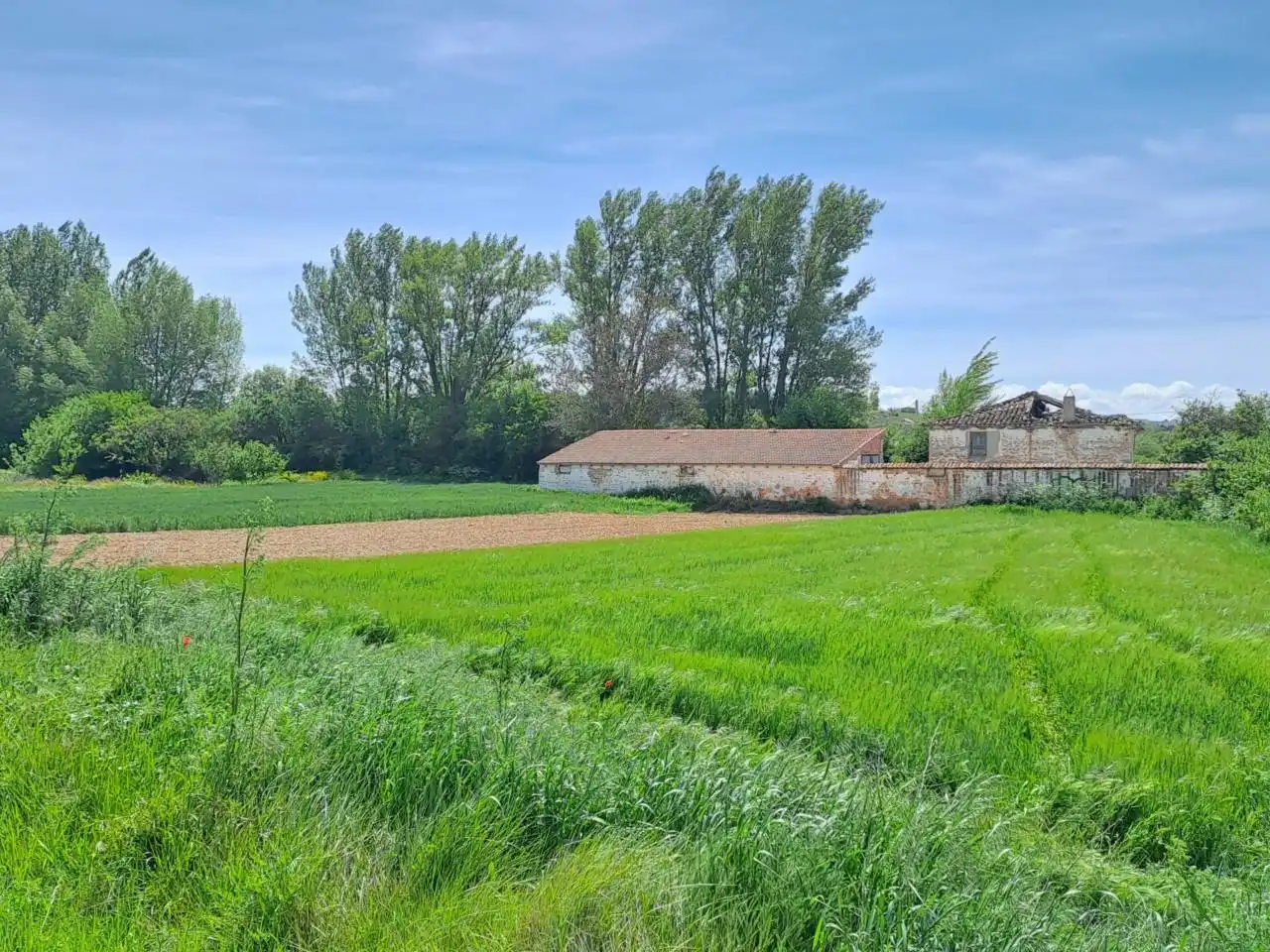 Casa o xalet en venda en Revillarruz amb Jardí privat i Terrassa