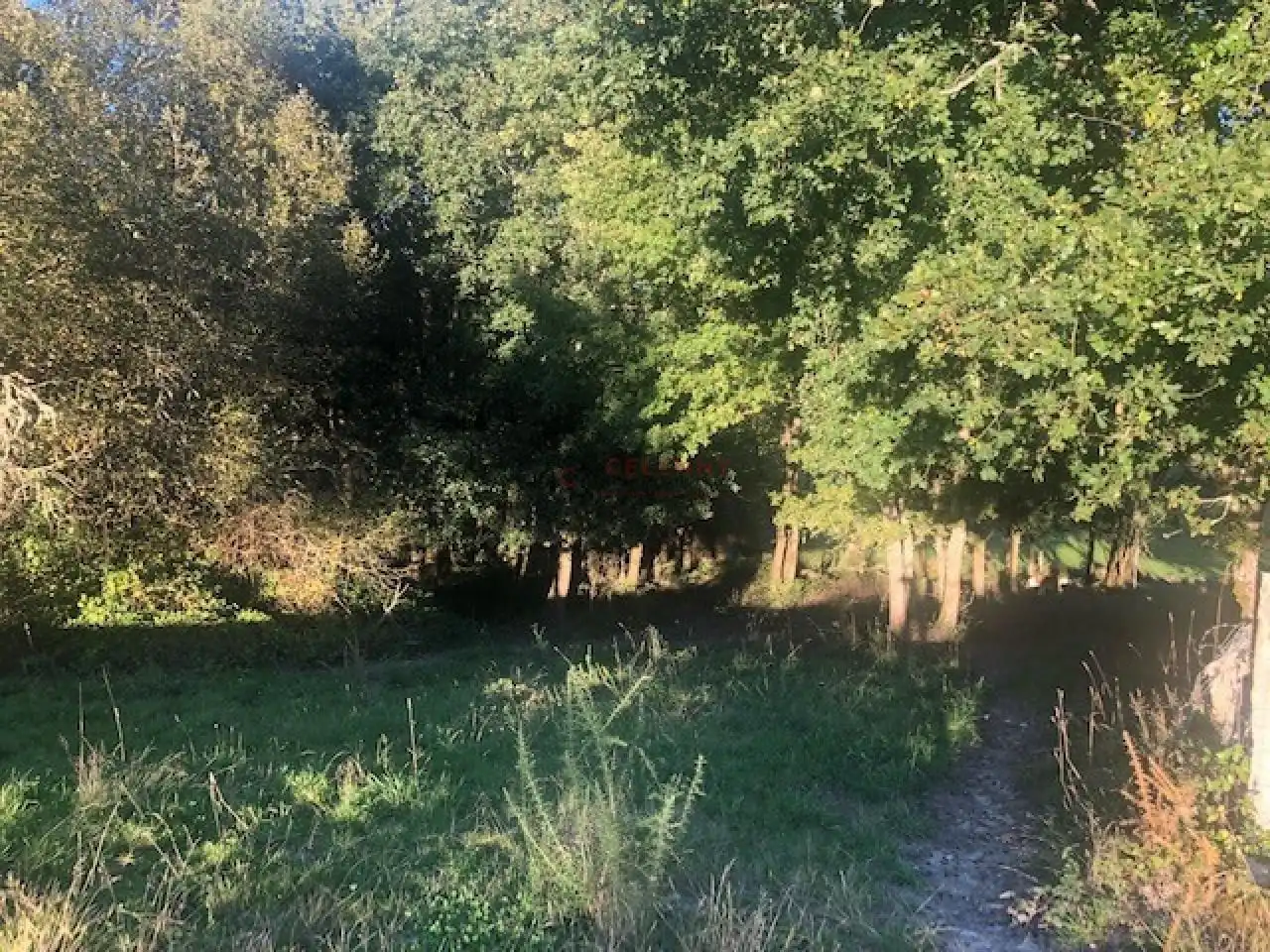 Terreni e lotti in vendita a Nogueira de Ramuín, imagen 12