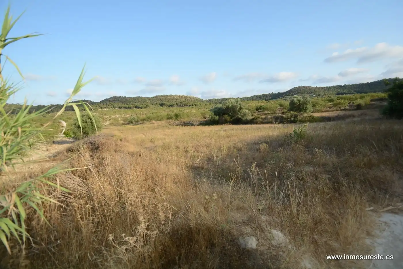 Terreno rústico en venta en Desamparados - Hurchillo - Torremendo, imagen 11