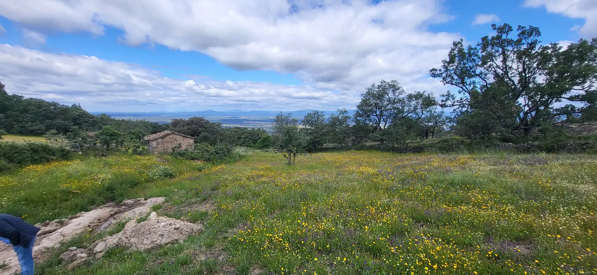 Grundstücke zum Verkauf in Villar de Plasencia