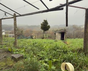 Casa o xalet en venda en Celanova amb Jardí privat