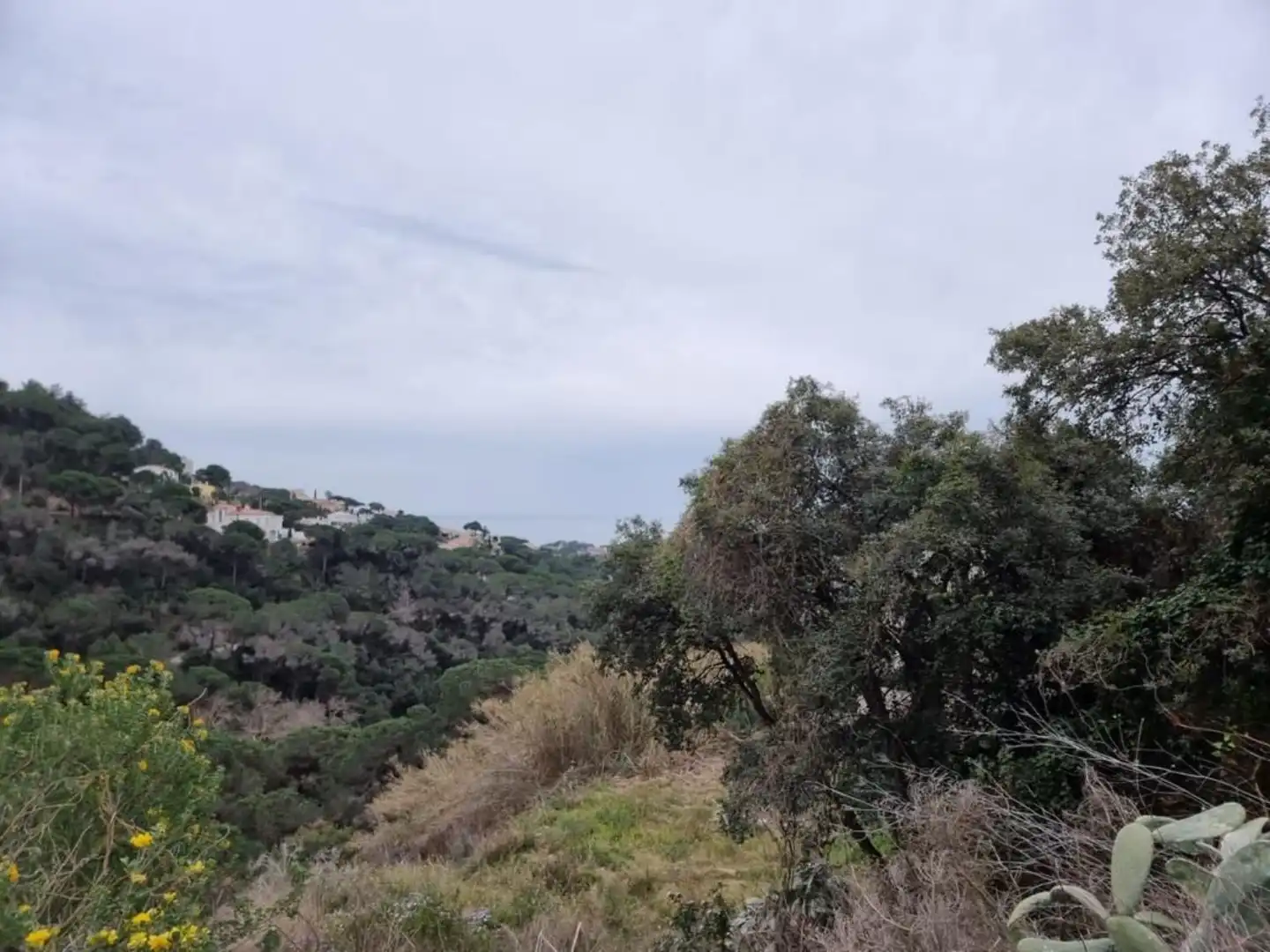 Terrenos y solares en venta en Serra Brava, imagen 11
