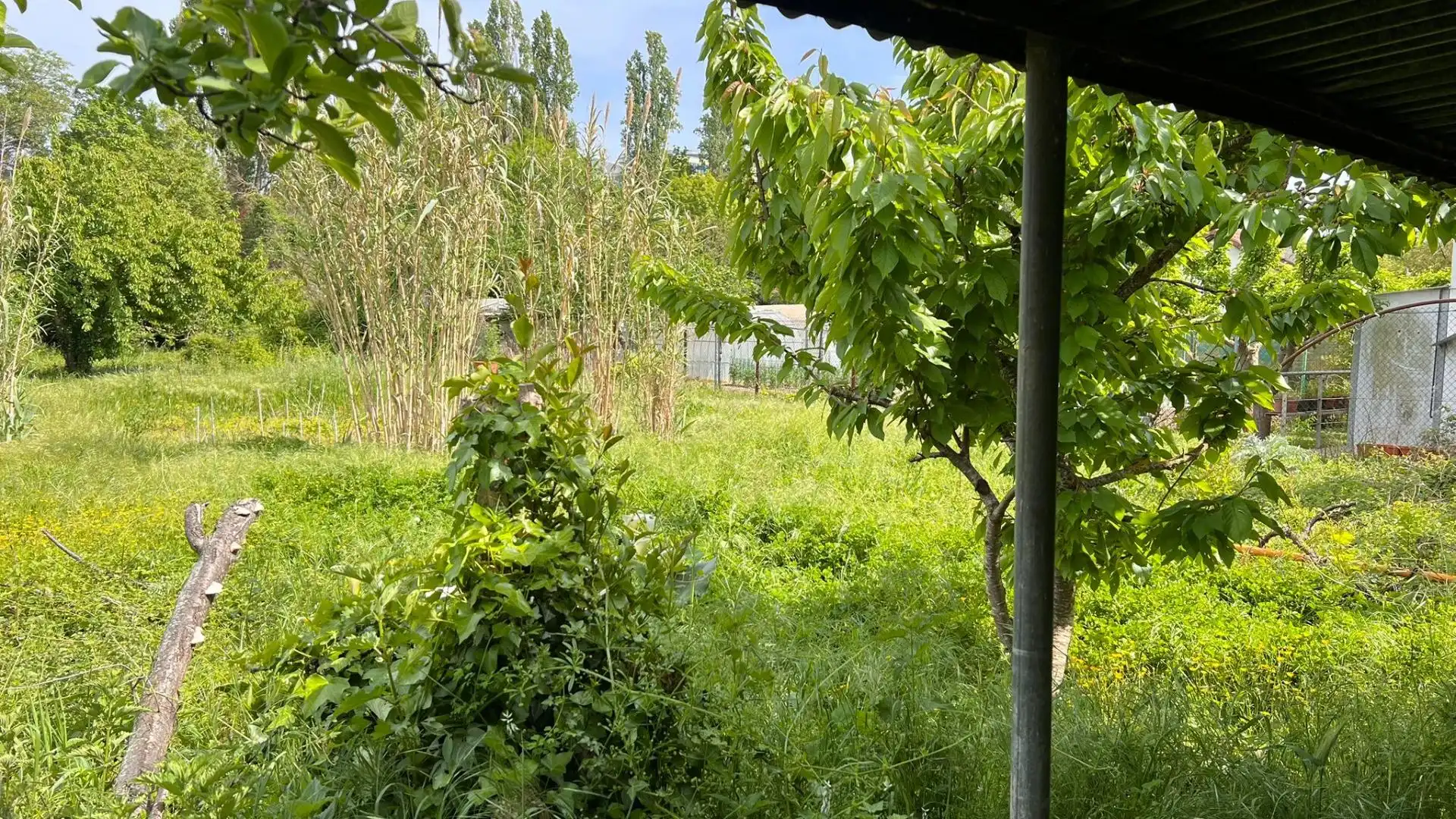 Rural land for sale in Calle ZAKOABIDE, imagen 2