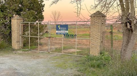 Foto 5 de Finca rústica en venda a Huerta de la Marquesa, 3, Oromana, Sevilla