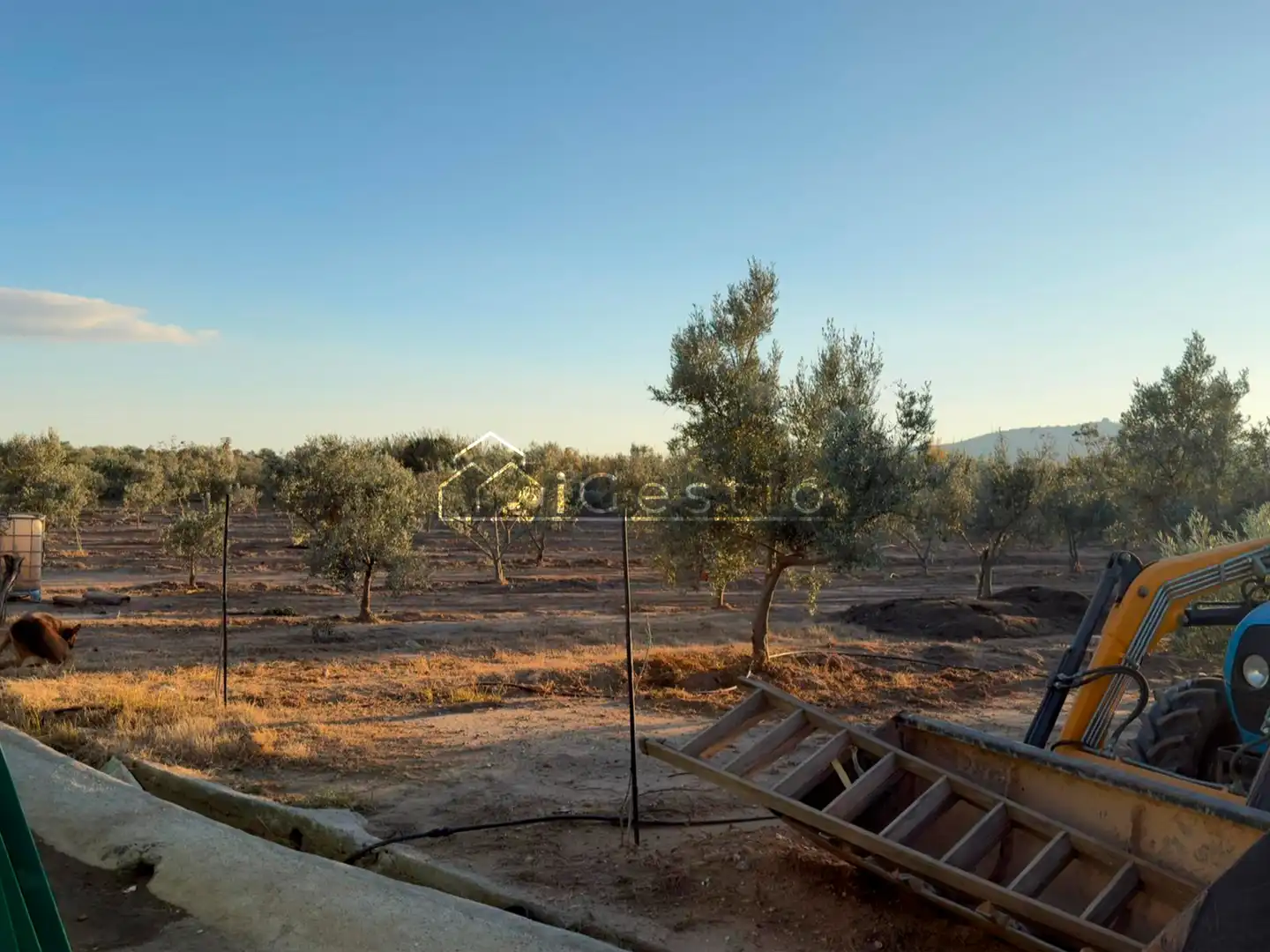 Land for sale in Sant Feliu de Llobregat
