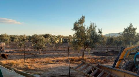 Foto 4 de Terreny en venda a Can Calders, Sant Feliu de Llobregat