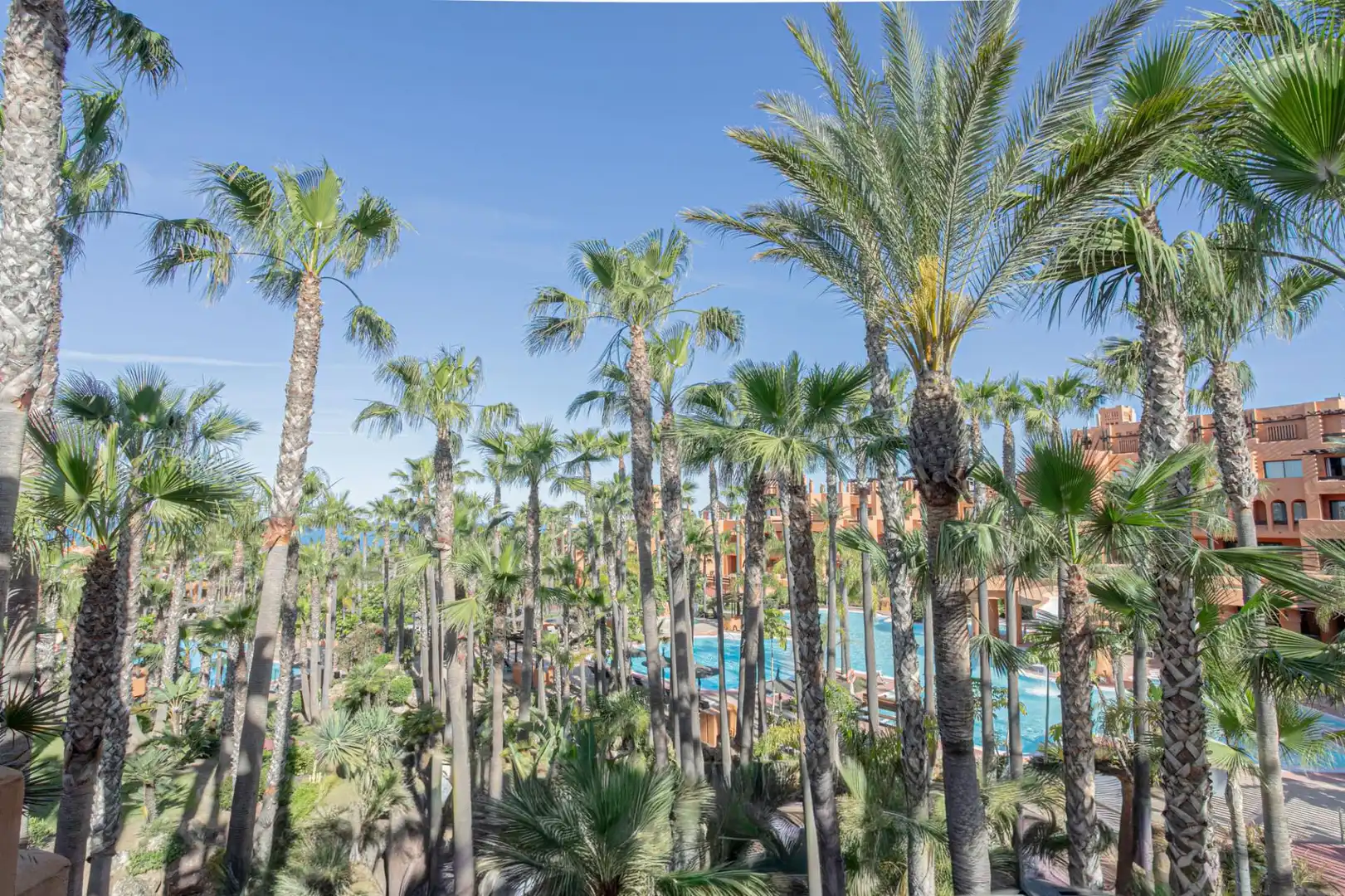 Jardí de Apartament en venda en Chiclana de la Frontera amb Piscina comunitària