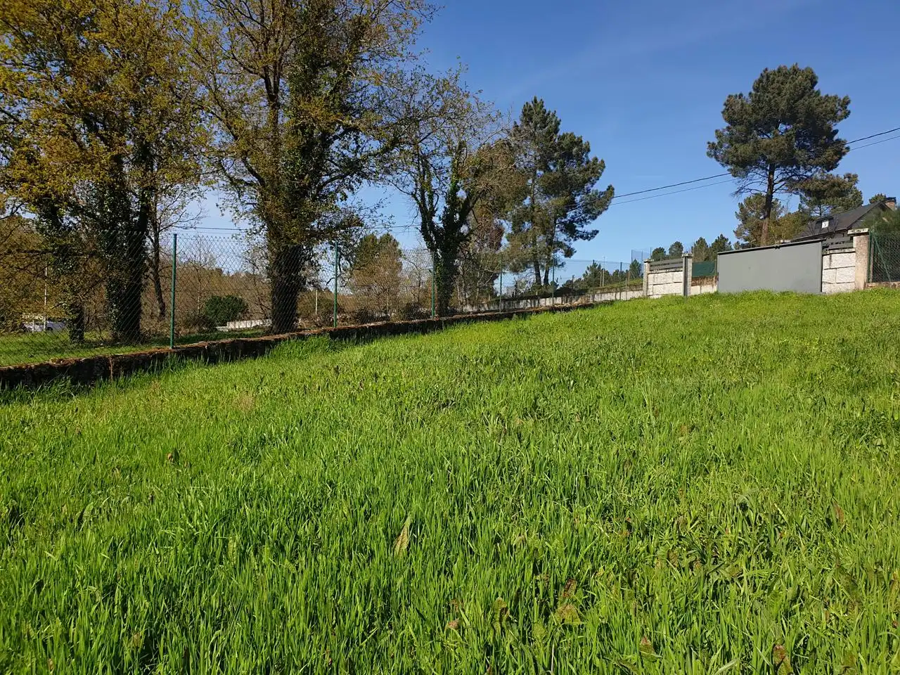 Terreni e lotti in vendita a Pereiro de aguiar, imagen 5