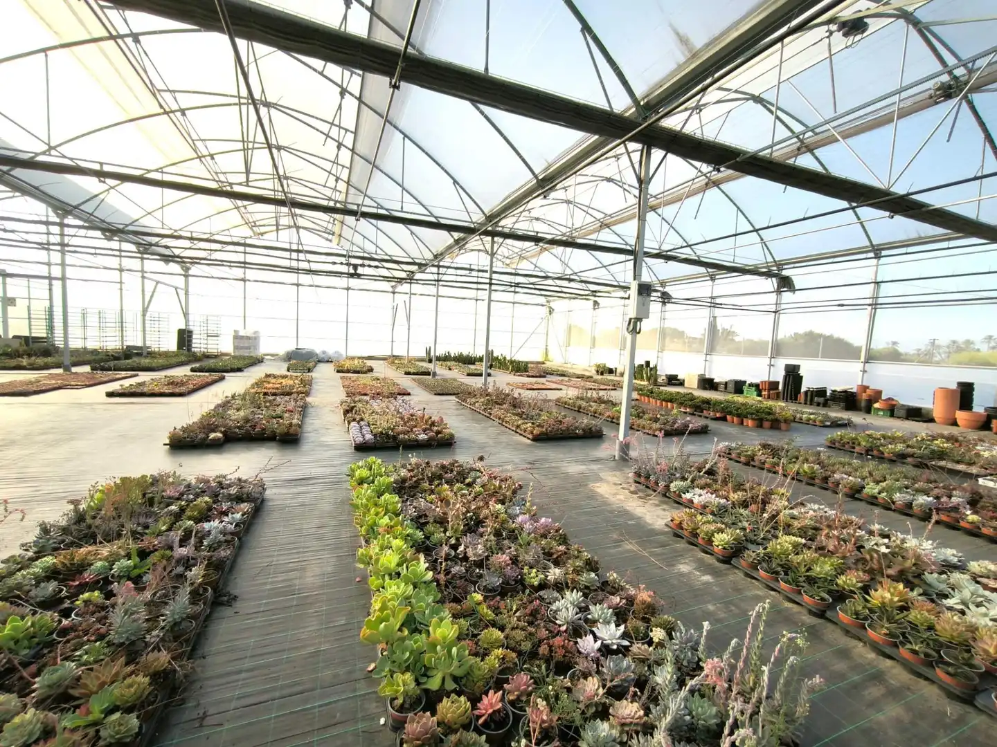 Garten von Grundstücke zum Verkauf in Elche / Elx