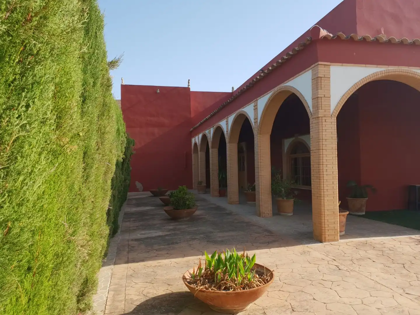 Vista exterior de Finca rústica en venta en La Algaba