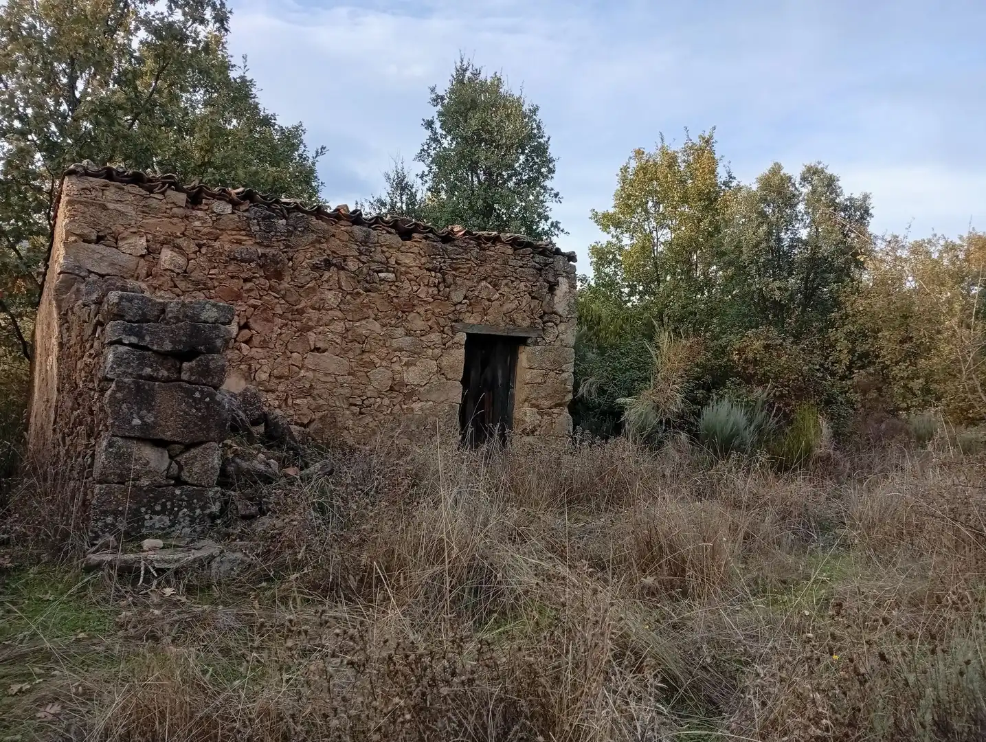 Terreni e lotti in vendita a Villanueva de la Vera, imagen 32