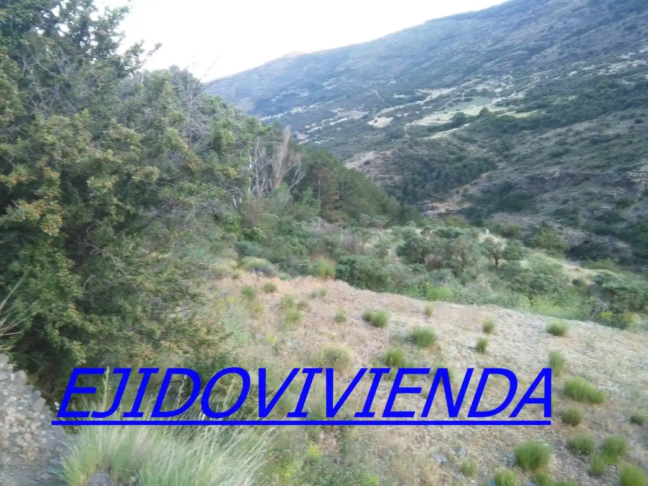 Terreni e lotti in vendita a Nevada, imagen 11
