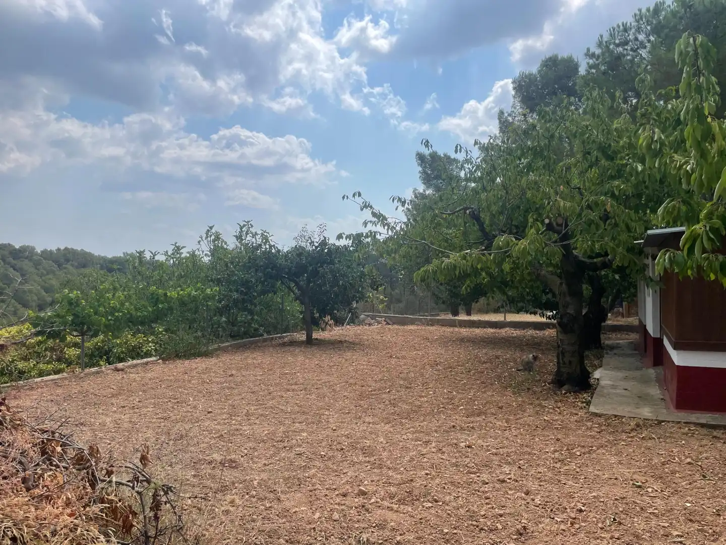 Terreno residencial en venta en Carrer CASTILLO CABRER, imagen 29