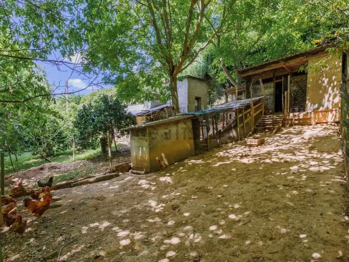 Haus mit Garten zum Verkauf in Calvela, A 1, imagen 21