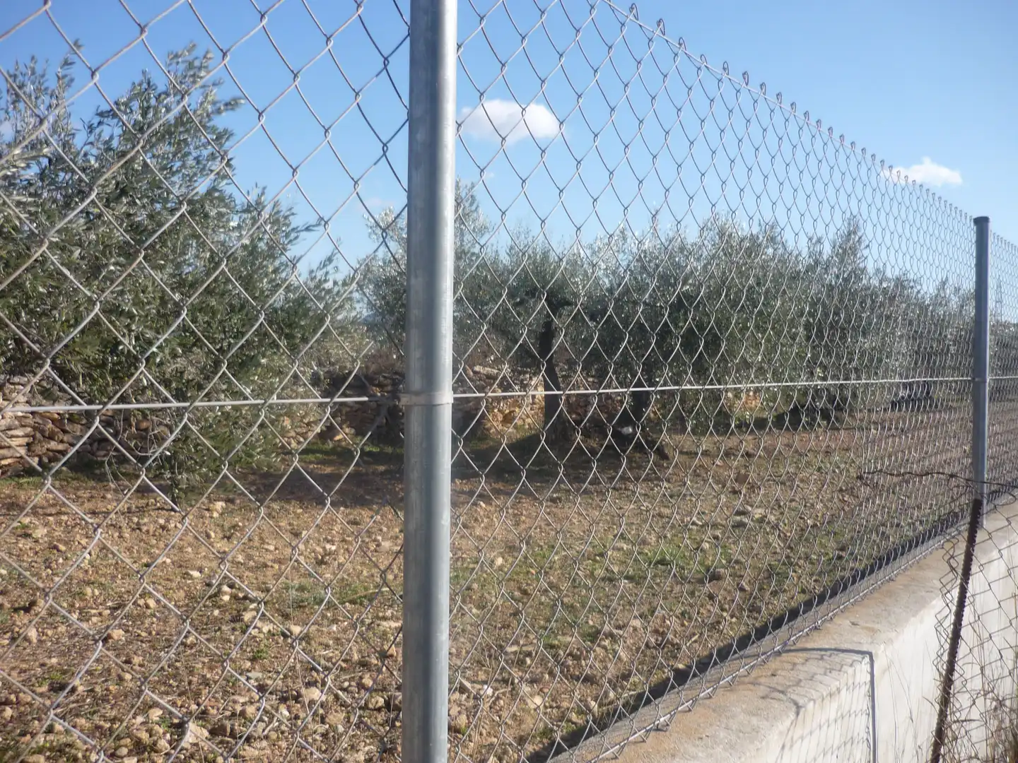 Land for sale in Vila-rodona