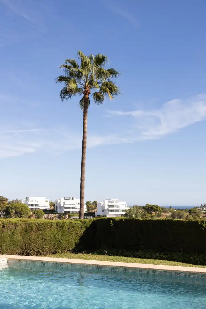 Vista exterior de Casa o chalet en venta en Benahavís con Terraza y Balcón