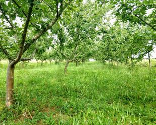 Land for sale in Abadiño 