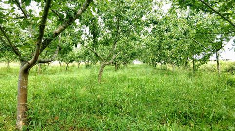 Terreno en Venta en etxebarria 12, Abadiño
