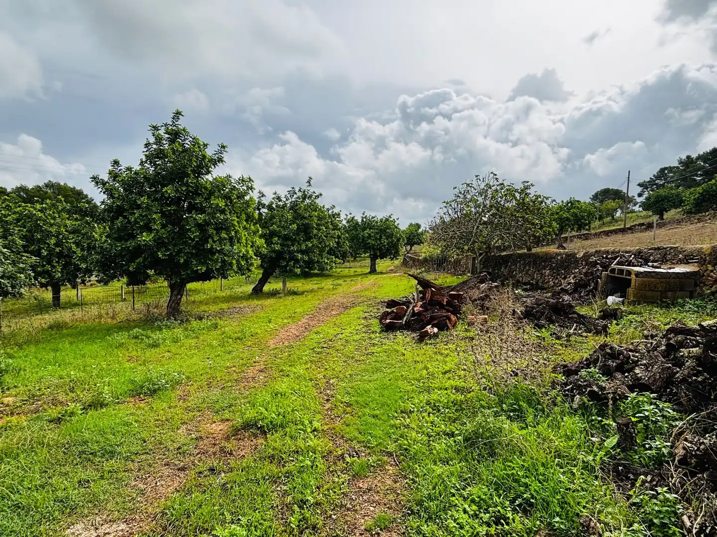 Finca rústica en venta en Felanitx con Calefacción, Jardín privado y Terraza