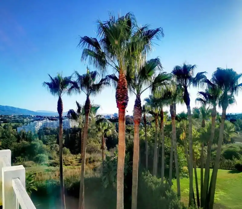 Casa con terraza en alquiler en Benamara - Atalaya, imagen 6