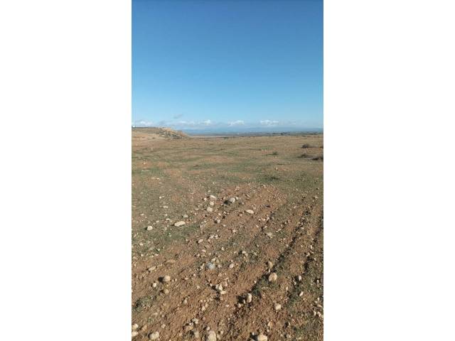 Terreno en Venta en Calle saso en Belver de Cinca