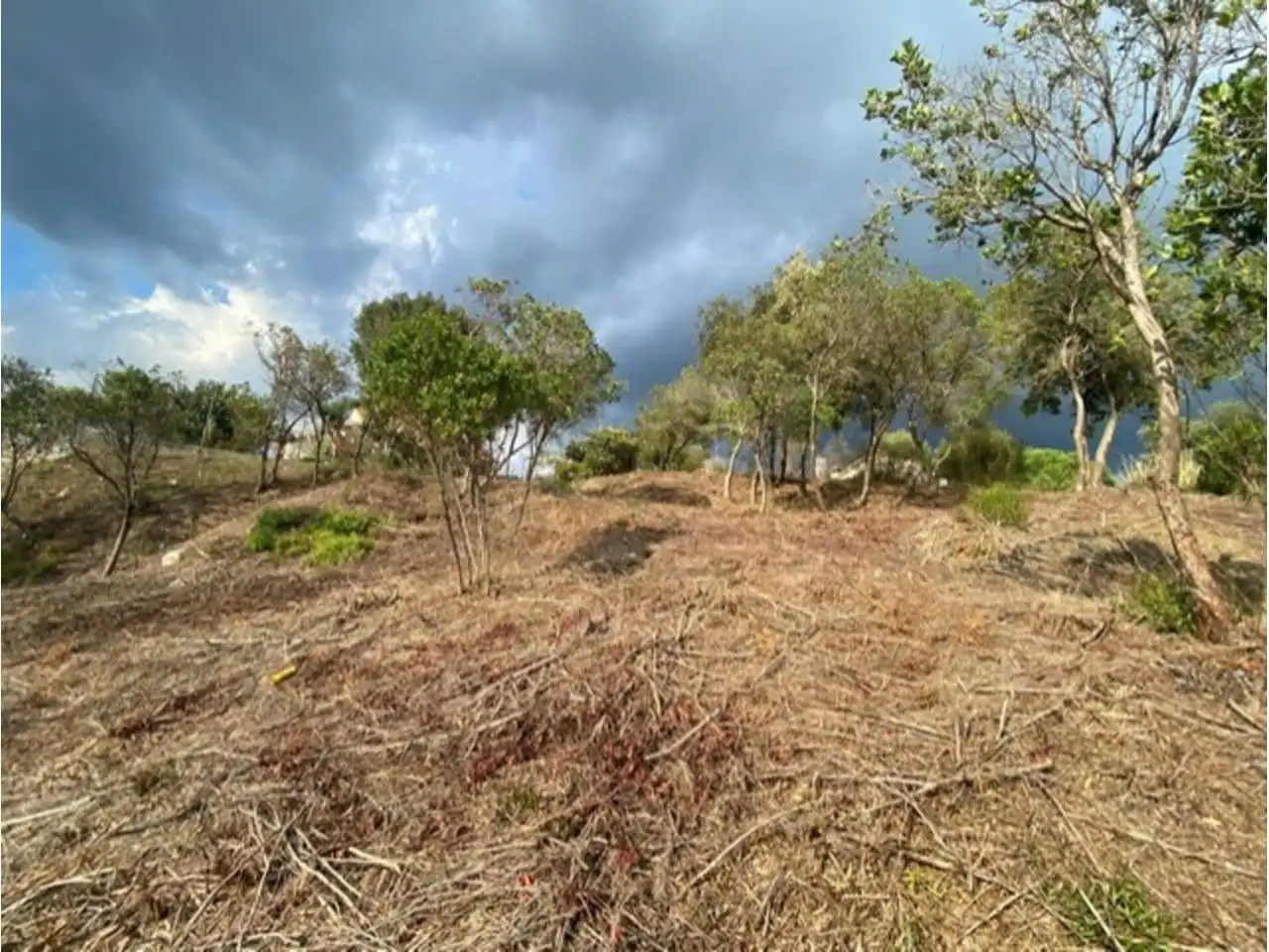 Terreny residencial en venda a Riells i Viabrea, imagen 2