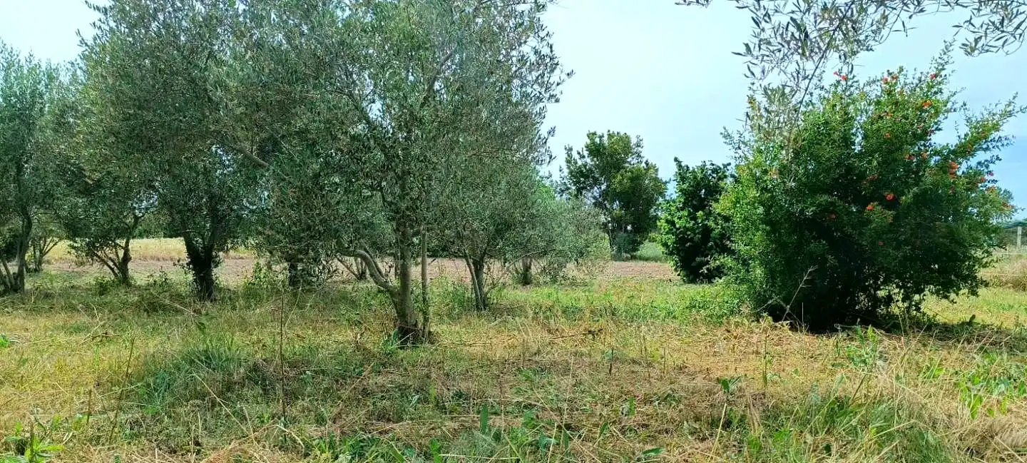 Finca rústica en venta en Mendavia con Jardín privado