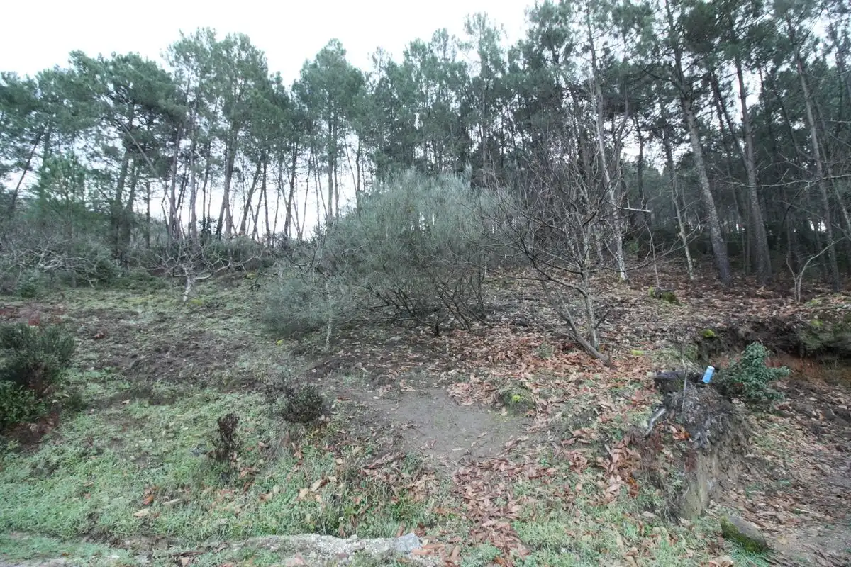Terreni e lotti in vendita a Arenas de San Pedro, imagen 2