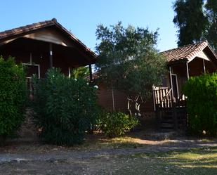 Garden of Premises to rent in Jaraíz de la Vera  with Air Conditioner