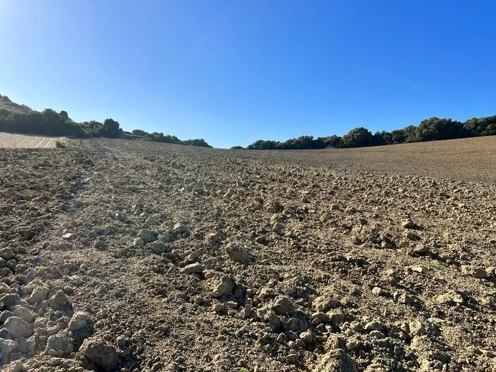 Casa rústica en venda a Vejer, imagen 16