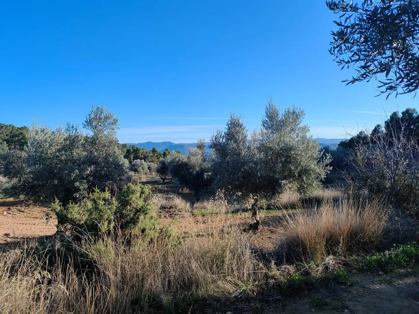 Terreni e lotti in vendita a La Fresneda, imagen 5