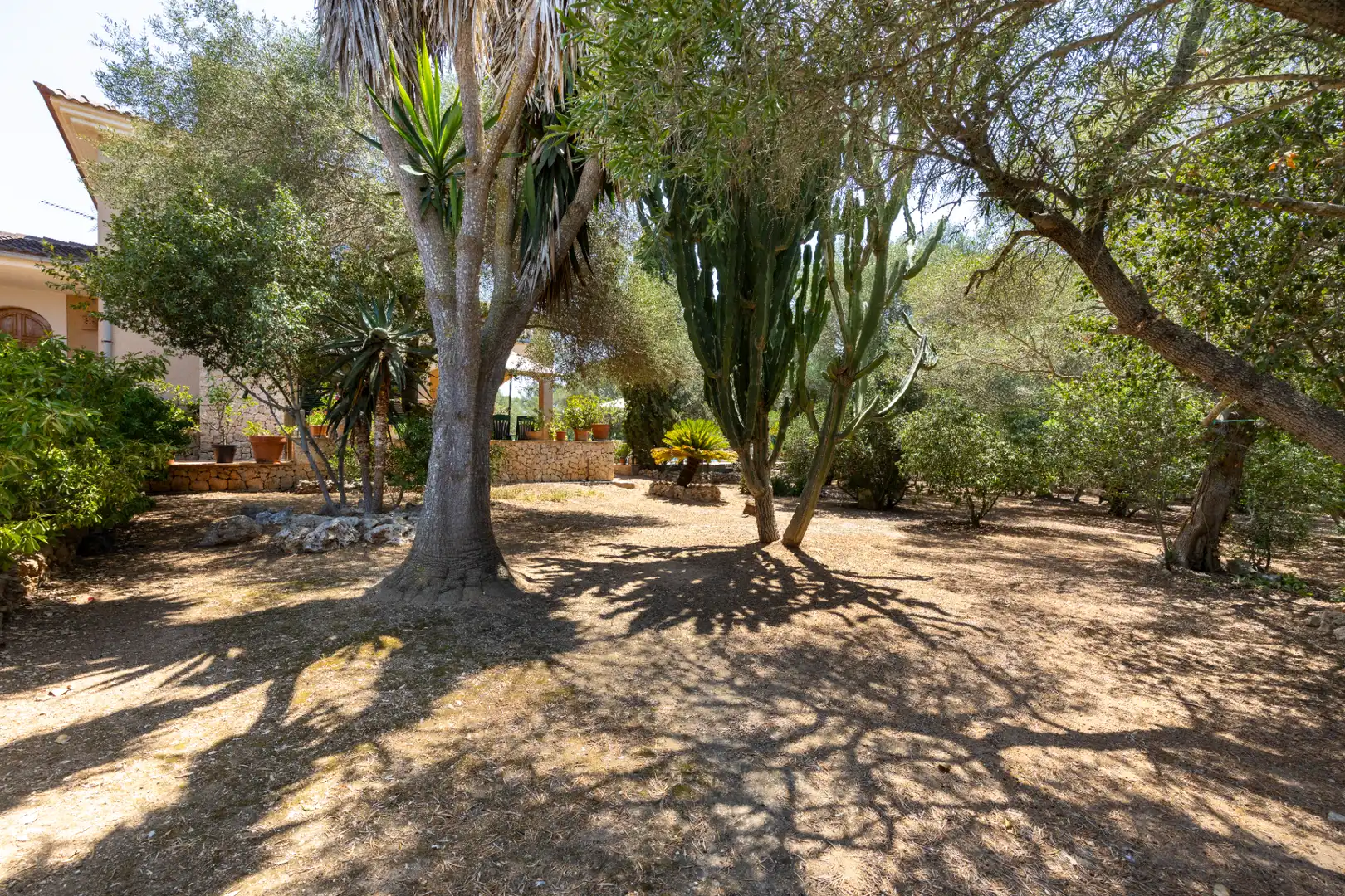 Villa avec terrasse à vendre à Pòrtol, imagen 7