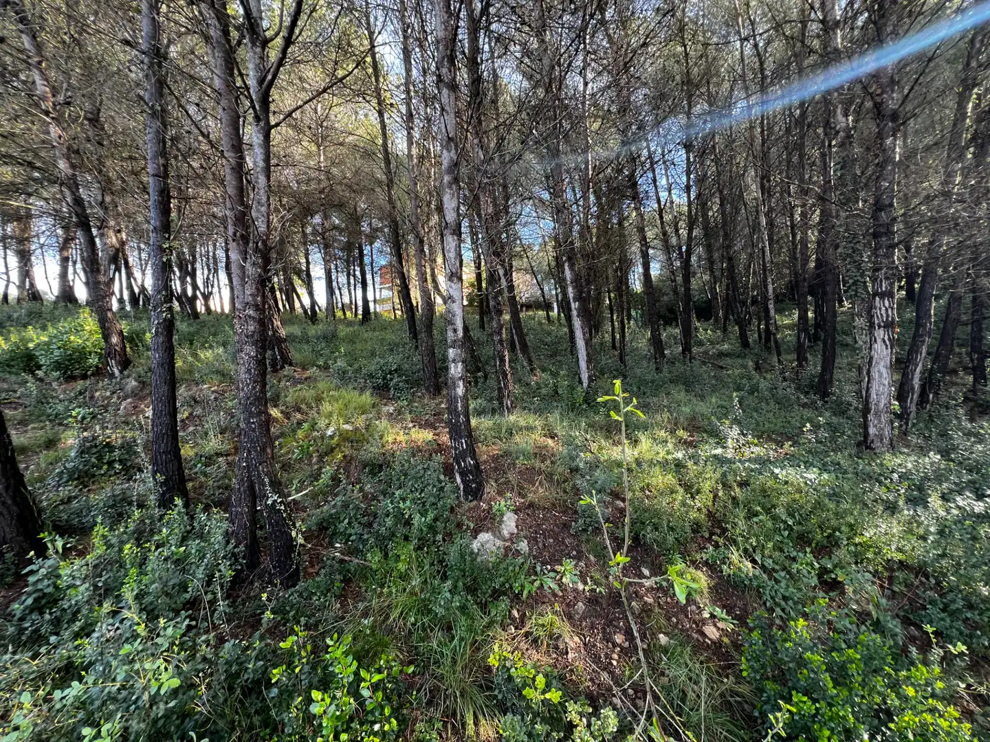 Residencial en venda en Olesa de Bonesvalls
