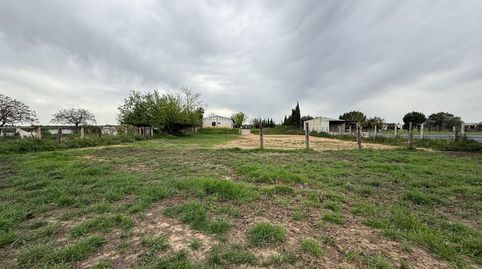 Photo 5 of Land for sale in Pilas, Pilas, Sevilla