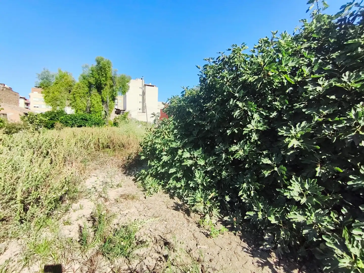 Houses for sale in Murcia