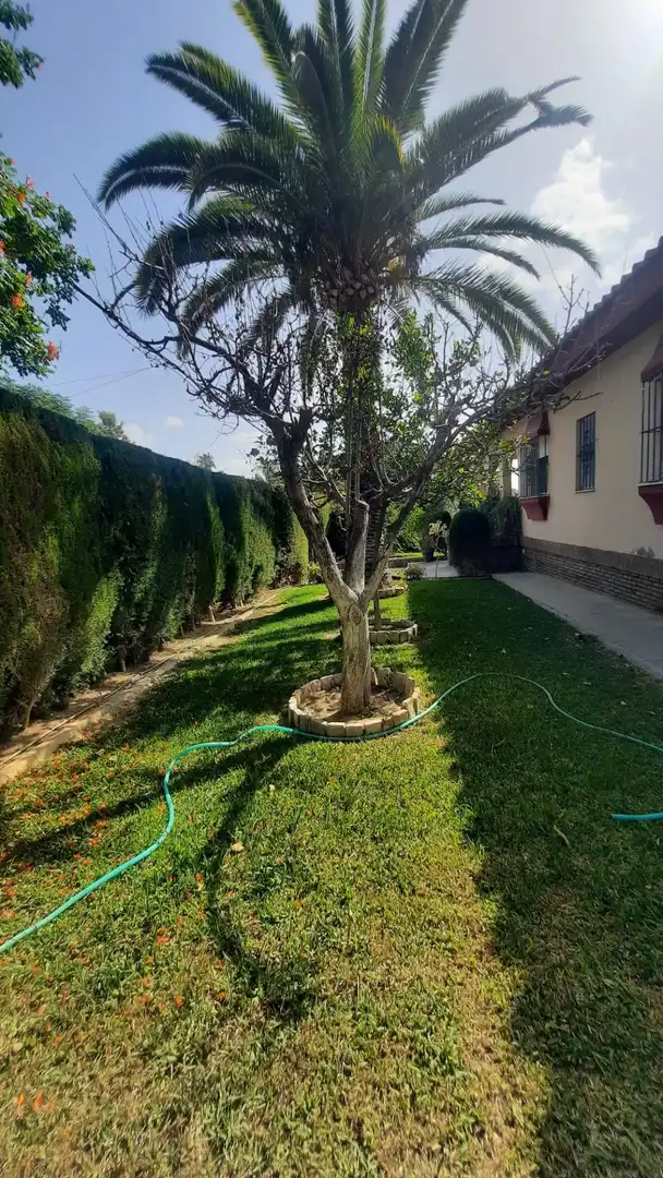 Chalet con piscina en venta en Carmona, imagen 8