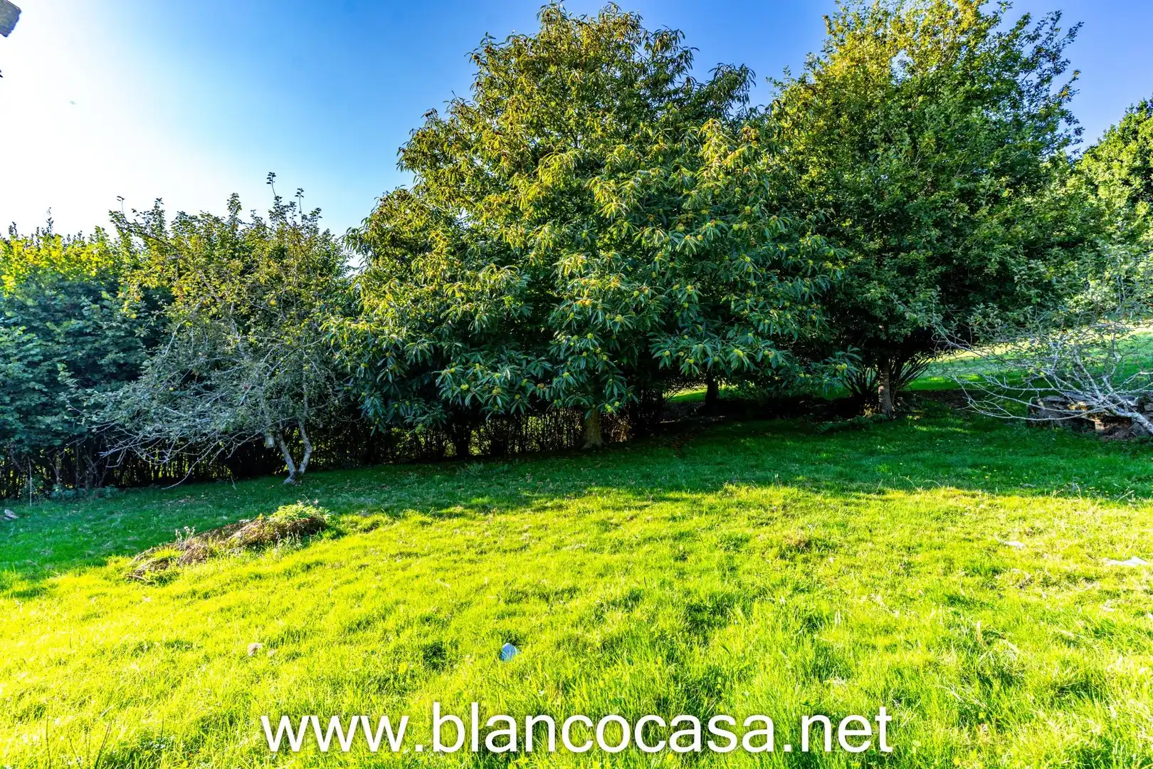 Casa con giardino in vendita a A Laracha, imagen 66