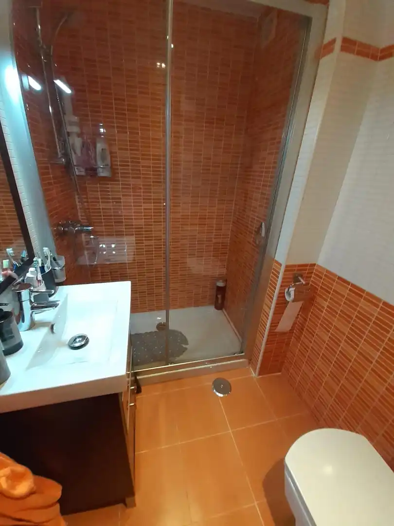 Flat with terrace for sale in Carretera de Cádiz, imagen 21