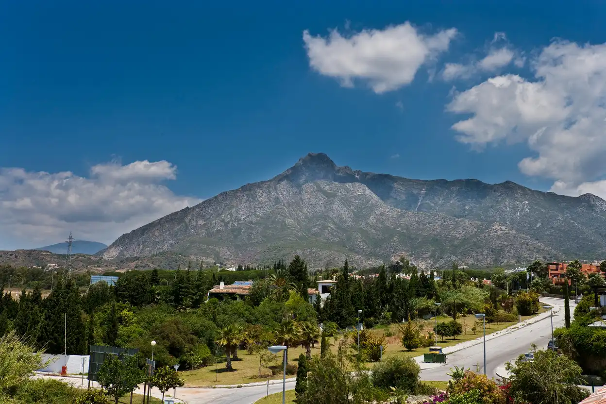 Exterior view of Houses for rent in Marbella  with Furnished and Pets allowed