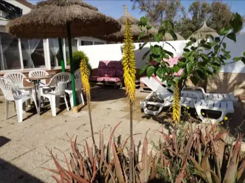 House with garden to rent in Calle Marinera Urb Riumar 2, imagen 8