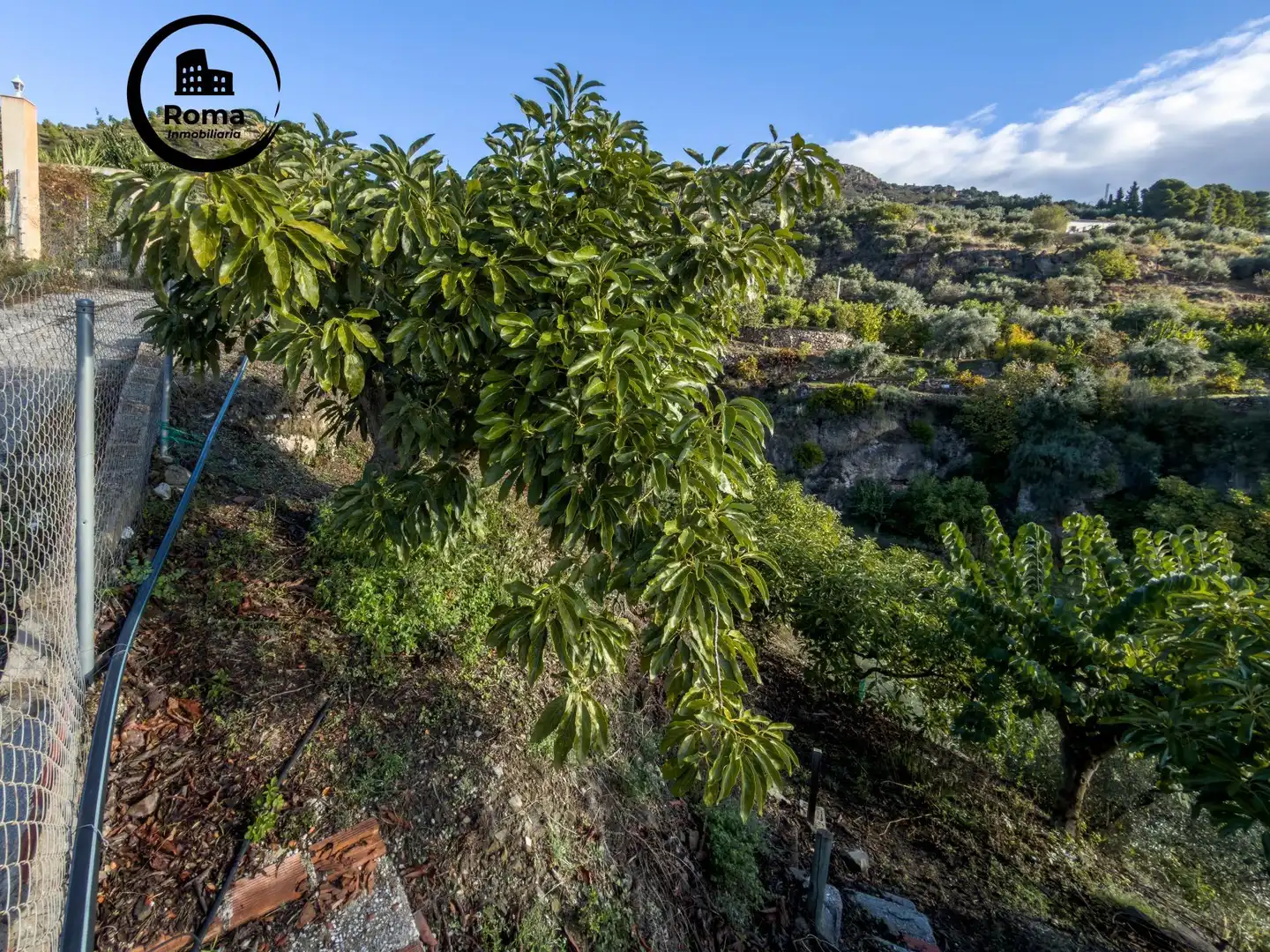 Jardí de Finca rústica en venda en Los Guájares amb Terrassa i Traster