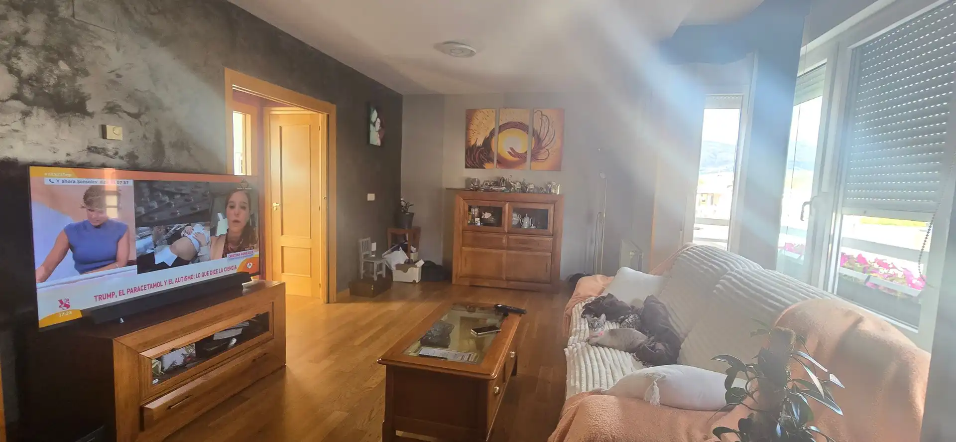 Sala d'estar de Casa adosada en venda en Guardo amb Jardí privat i Moblat