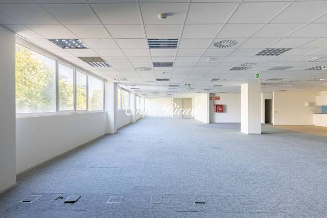 Oficina en Alquiler en La Marina del Prat Vermell