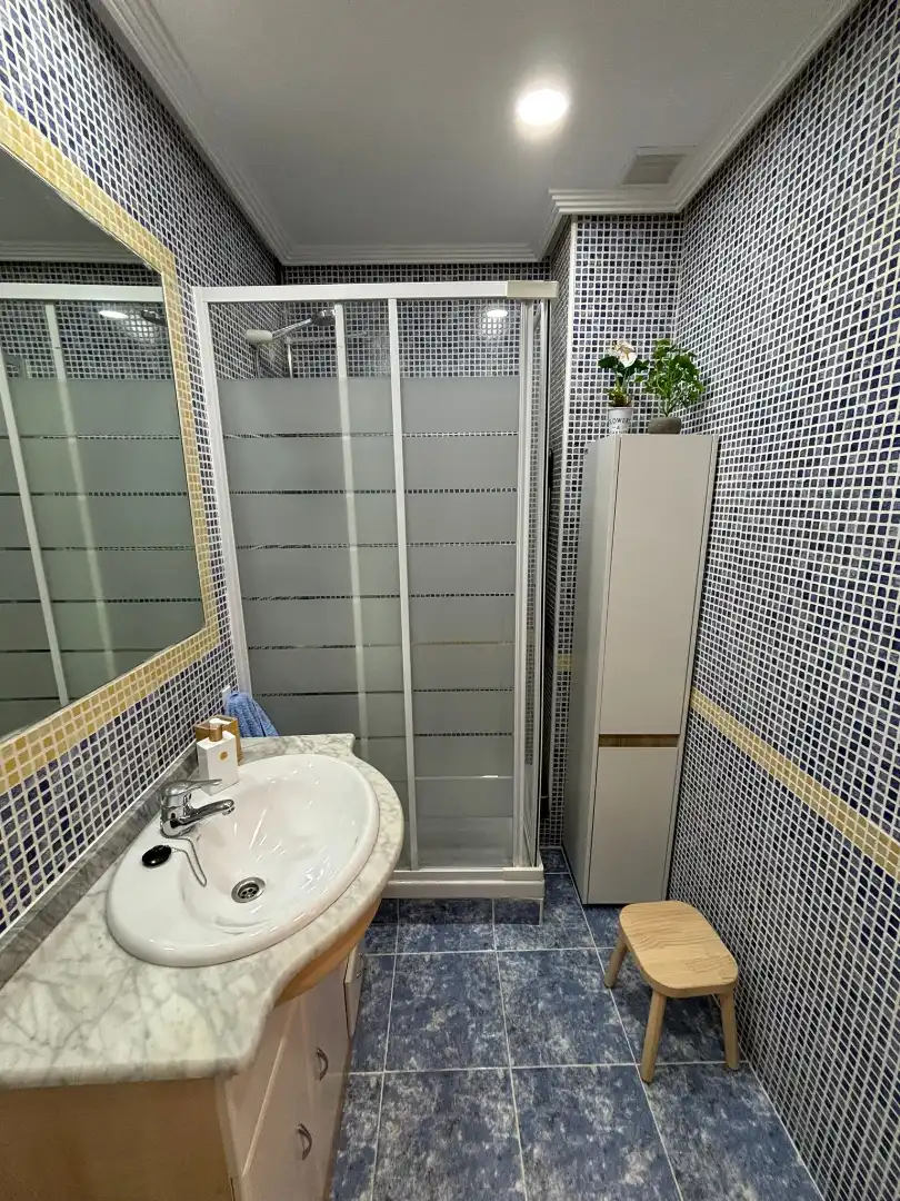 Bathroom of Apartments for rent in Madrid  with Air Conditioner, Heating and Terrace