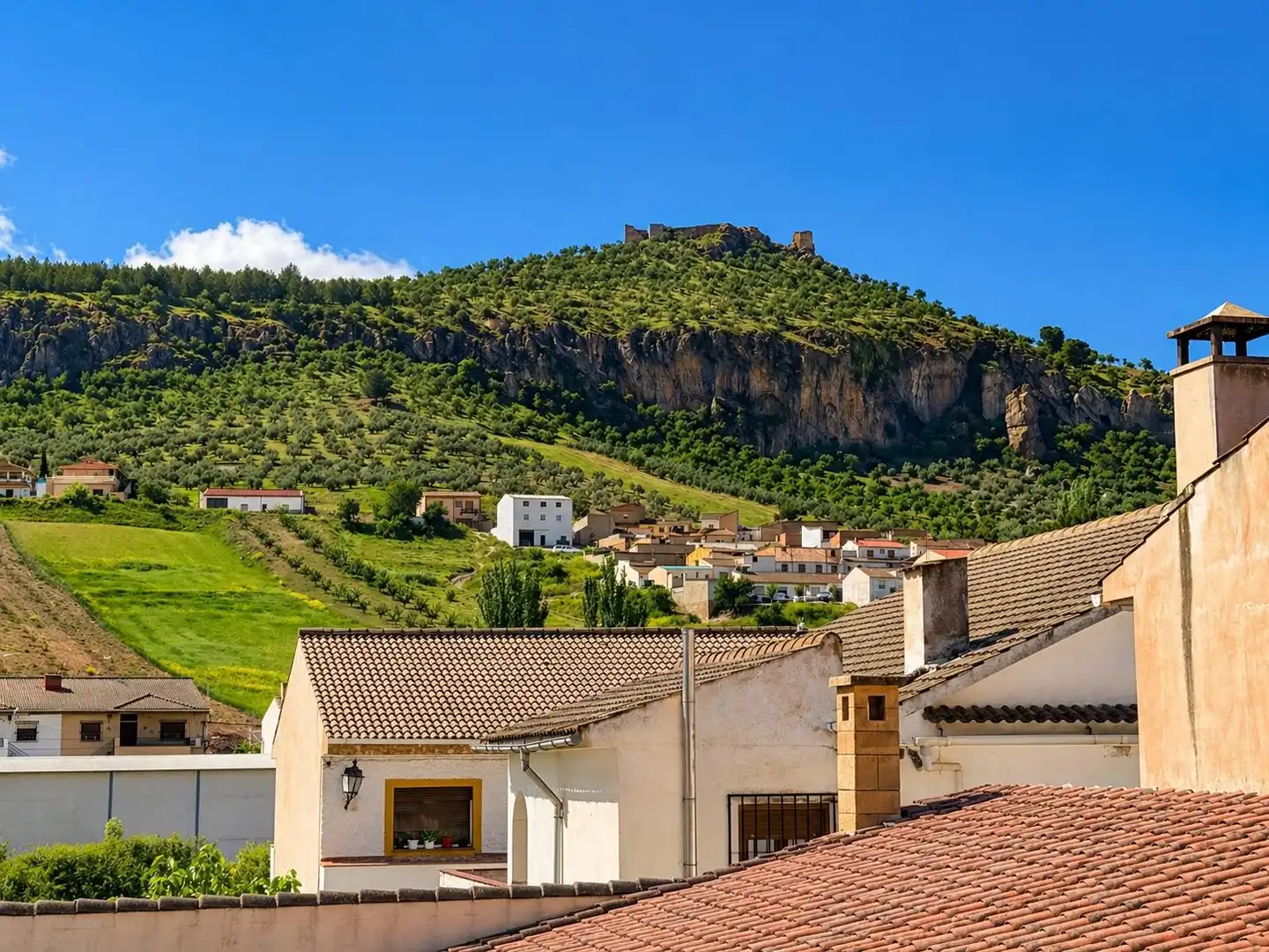 Vista exterior de Finca rústica en venta en Píñar con Terraza