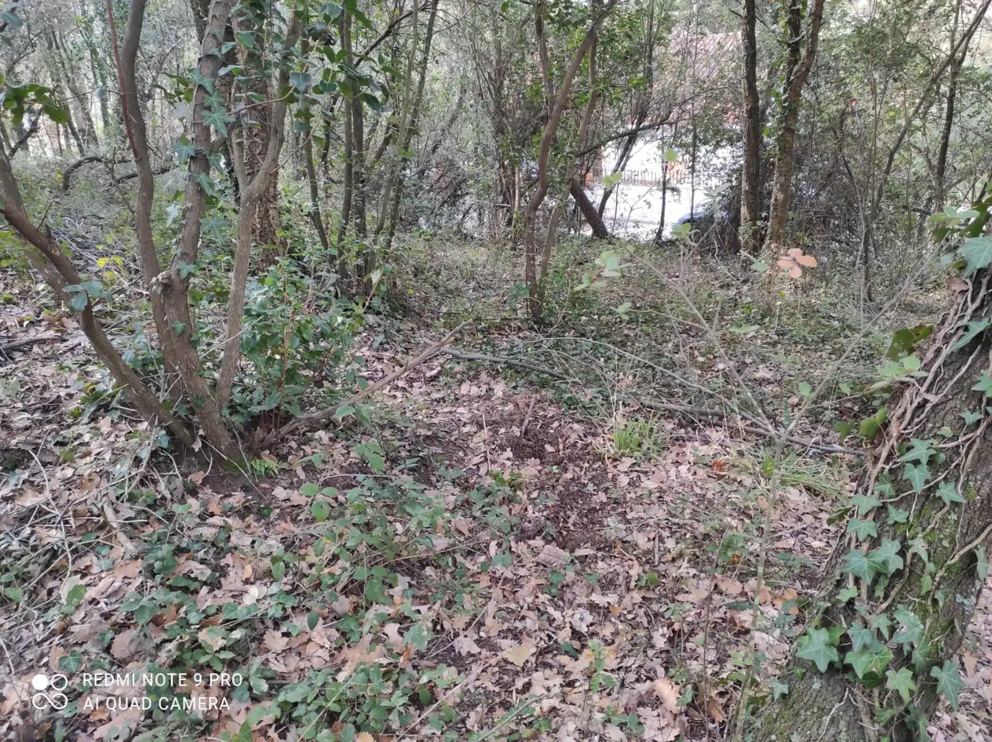 Terrenos y solares en venta en Vallgorguina, imagen 3
