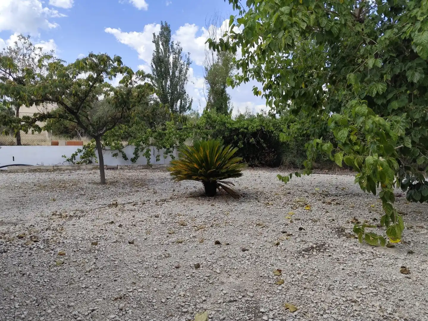 House with pool for sale in Moratalla, imagen 33